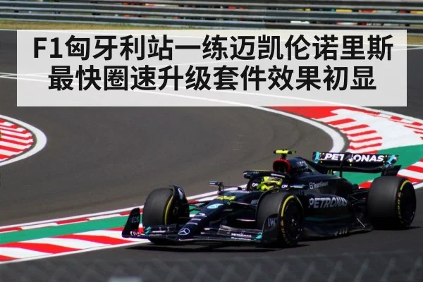 F1 Hungarian Grand Prix